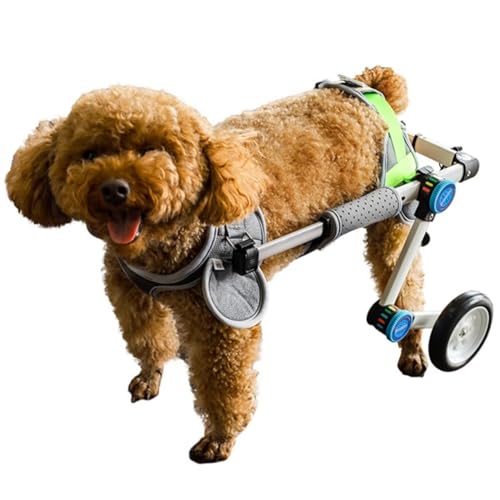UPWONEC Hunde Hinterlimben Rollstuhl, Faltbare Aluminiumlegierungshund -Rollstuhl, Leichtes Hilfsfahrzeug, Frei Einstellbar, Leicht Zu Tragen Und Zu Lagern,Xs UPWONEC Hunde Hinterlimben Rollstuhl, Faltbare Aluminiumlegierungshund -Rollstuhl, Leichtes Hilfsfahrzeug, Frei Einstellbar, Leicht Zu Tragen Und Zu Lagern,Xs von UPWONEC
