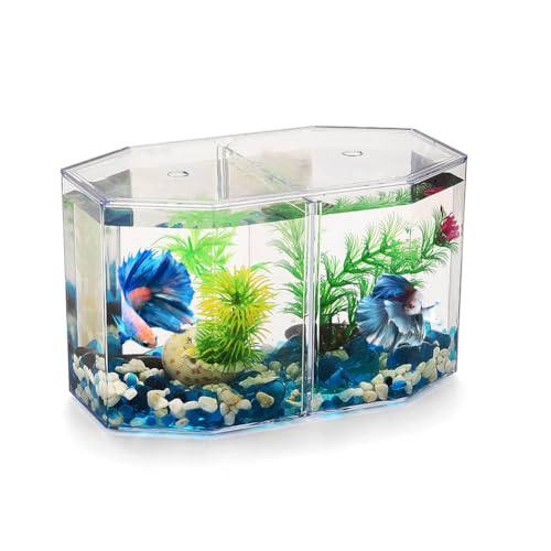 UPWONEC Oktagonal Betta Fischtank, HD Transparent Doppelfischtank, Doppelkabine Rhombus Betta Fischschale, Desktop Kleines Klares Goldfisch -Aquarium, Abnehmbarer Zaun, Wohnkulturverzierung UPWONEC Oktagonal Betta Fischtank, HD Transparent Doppelfischtank, Doppelkabine Rhombus Betta Fischschale, Desktop Kleines Klares Goldfisch -Aquarium, Abnehmbarer Zaun, Wohnkulturverzierung von UPWONEC