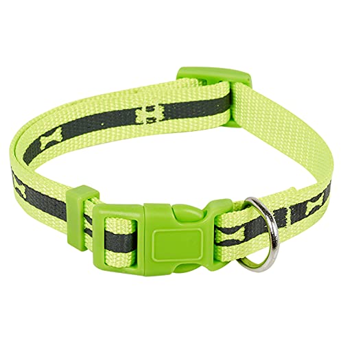 URBNLIVING Hundehalsband, Nylon, verstellbar, Knochenmuster, fluoreszierend, Größe S, 2 Größen S/M URBNLIVING Hundehalsband, Nylon, verstellbar, Knochenmuster, fluoreszierend, Größe S, 2 Größen S/M von URBNLIVING