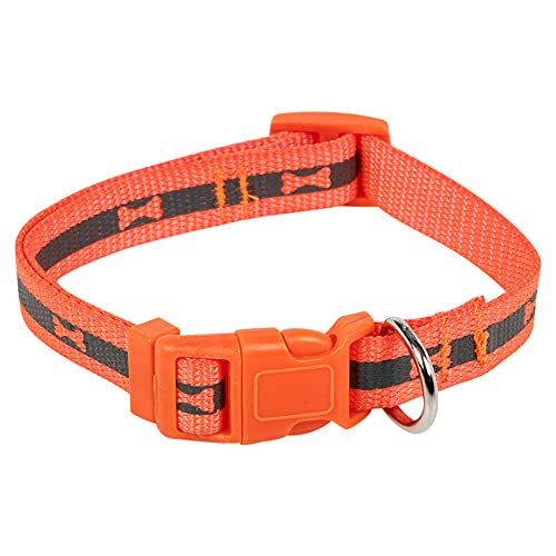 Hundehalsband, Nylon, verstellbar, Knochenmuster, fluoreszierend, Größe S, Orange, 2 Größen Hundehalsband, Nylon, verstellbar, Knochenmuster, fluoreszierend, Größe S, Orange, 2 Größen von URBNLIVING
