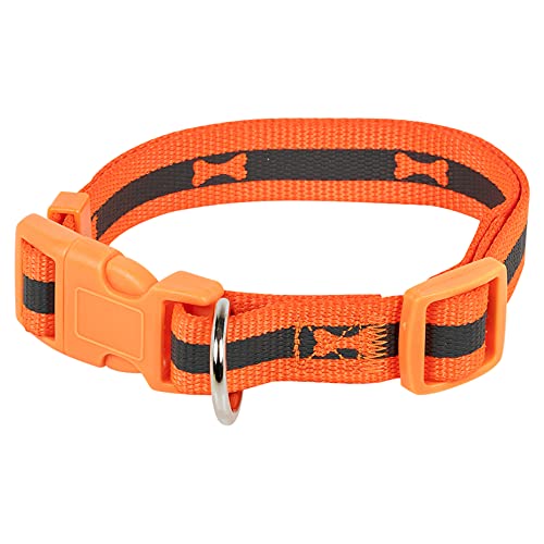 Hundehalsband, Nylon, verstellbar, Knochenmuster, fluoreszierend, Größe S/M, Orange, 2 Größen von URBNLIVING