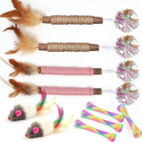 URMYONLY Matatabi Silvervine Katzenminze, Kauspielzeug für Katzen, Maus-Katzenspielzeug, Katzenfedern für Indoor-Katzen, interaktives Spielzeug für Katzen und Kätzchen, 10 Stück URMYONLY Matatabi Silvervine Katzenminze, Kauspielzeug für Katzen, Maus-Katzenspielzeug, Katzenfedern für Indoor-Katzen, interaktives Spielzeug für Katzen und Kätzchen, 10 Stück von URMYONLY