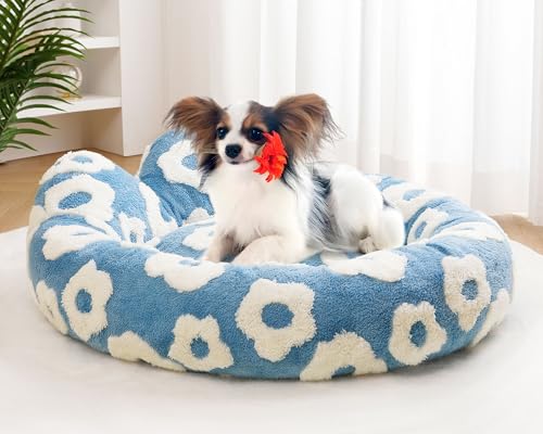 Donut Katzenbett für kleine Hunde, abnehmbarer und waschbarer Hundebettbezug, gemütliches, weiches, rundes Katzenbett, Katzenbett für Indoo, R Katzen für kleine, mittelgroße Hunde und Katzen (Blau, S Donut Katzenbett für kleine Hunde, abnehmbarer und waschbarer Hundebettbezug, gemütliches, weiches, rundes Katzenbett, Katzenbett für Indoo, R Katzen für kleine, mittelgroße Hunde und Katzen (Blau, S von URPET