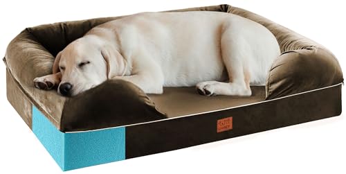 URPET 10,2 cm großes Hundebett aus Memory-Schaum mit Nackenrolle, orthopädisches Hundesofa für große und extra große Hunde, weiche, wasserdichte Couch, Haustierbett mit abnehmbarem, waschbarem Bezug, von URPET