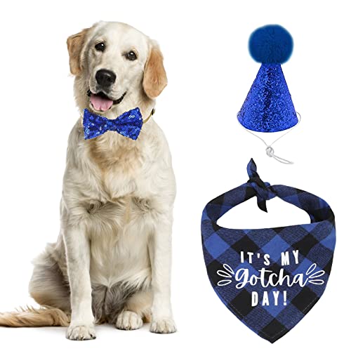 URROMA 3-teiliges Geburtstags-Hundehalstuch, Hut, Haustier-Gotcha-Halsband, Hundehalsband, Dreieck, Lätzchen, Fliege, Halsband mit Geschenk und, Blau URROMA 3-teiliges Geburtstags-Hundehalstuch, Hut, Haustier-Gotcha-Halsband, Hundehalsband, Dreieck, Lätzchen, Fliege, Halsband mit Geschenk und, Blau von URROMA