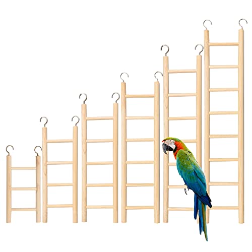 URROMA 6 Stück Papageien-Trittleitern, 6 Größen, Holz-Vogelleiter für Käfig, Haustierkäfig, Leitern, Kletterleiter für Sittiche, Papageien, Liebesvögel von URROMA