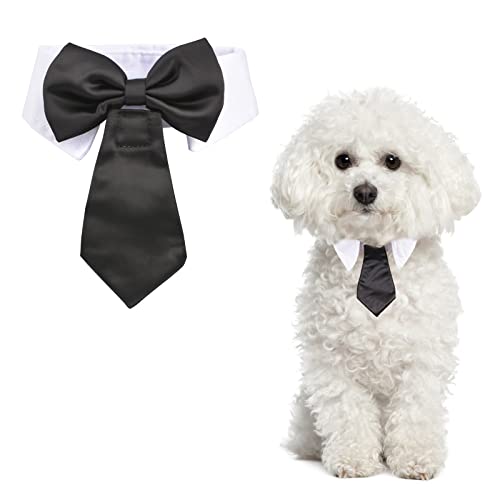 URROMA Verstellbares Hundehalsband, abnehmbares Doppelzweck-Hundehalsband mit schwarzer Krawatte, Fliege, formelles Hundemoking-Kostüm, Halsband für Hunde und Katzen, S von URROMA