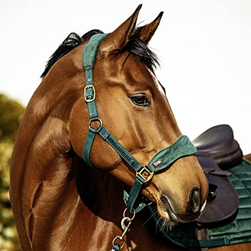 USG Halfterset Crown, Führstrick mit Karabinerhaken, Nasenband und Genickstück weich unterlegt, Größe: Pony Farbe: smaragdgrün von USG