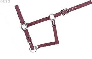 United Sportproducts Germany USG 35829 Halfter Burgund, VB von USG