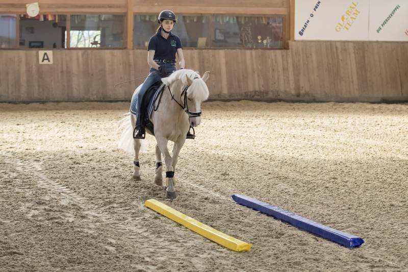 Usg Bodenarbeitsstangen Soft Gelb, 9,5 x 5 x 300cm Usg Bodenarbeitsstangen Soft Gelb, 9,5 x 5 x 300cm von USG