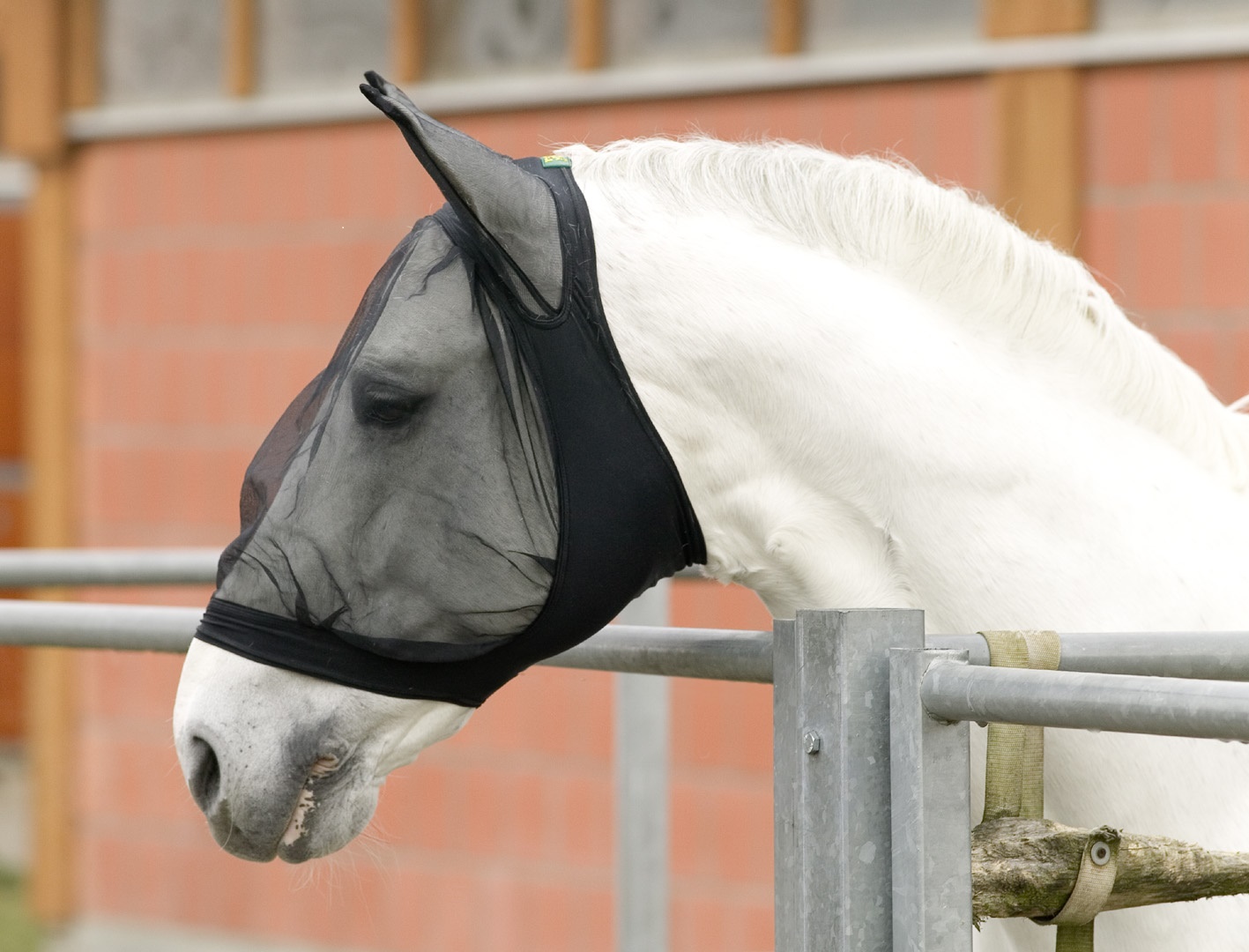 Usg Fliegenhaube mit Ohrenschutz Gr. Pony Usg Fliegenhaube mit Ohrenschutz Gr. Pony von USG
