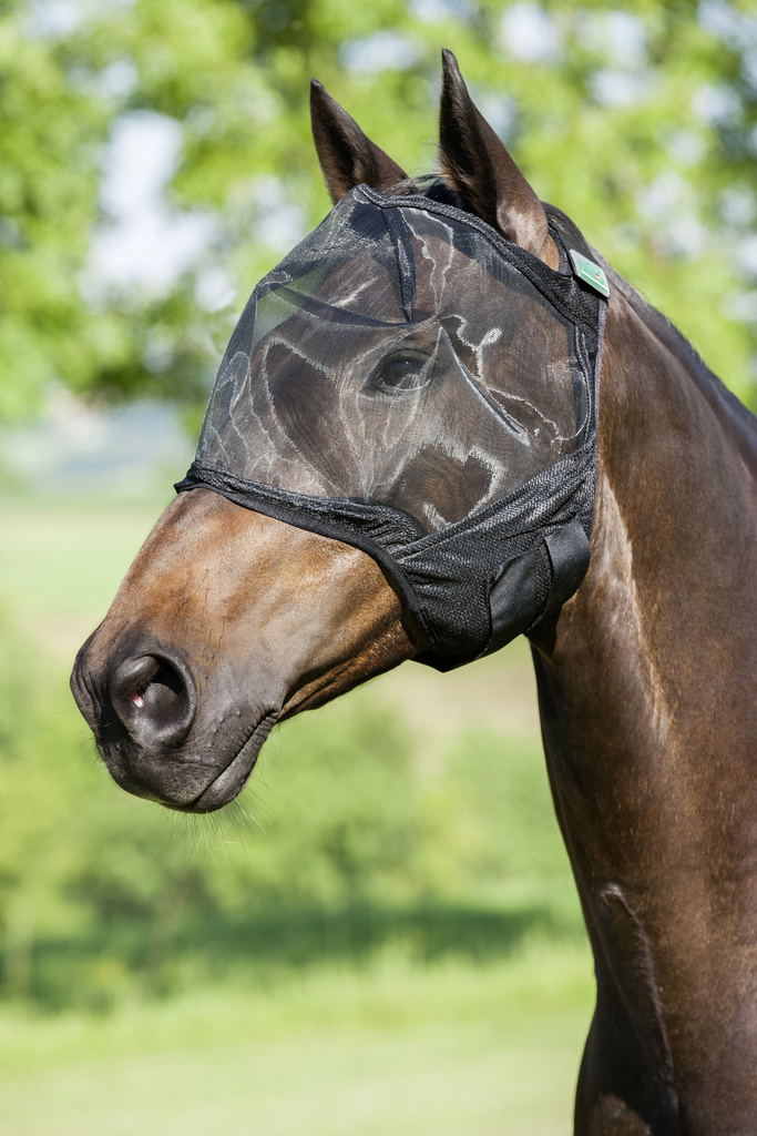 Usg Fliegenhaube ohne Ohrenschutz  schwarz, Gr. Pony von USG