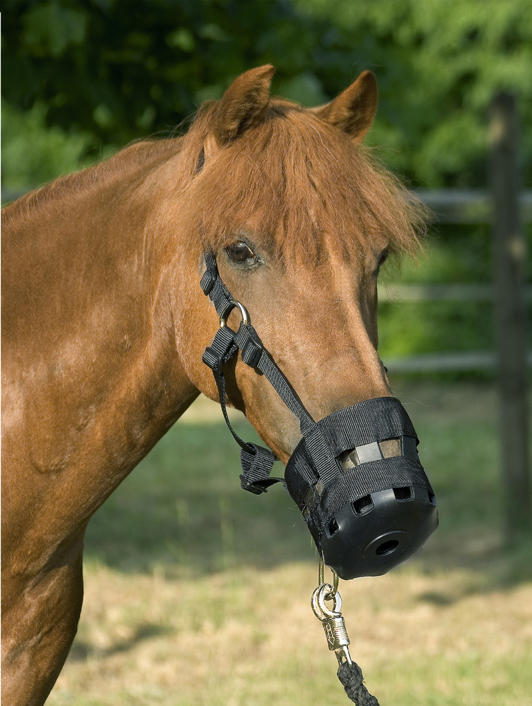 Usg Fressbremse schwarz, Pony Usg Fressbremse schwarz, Pony von USG