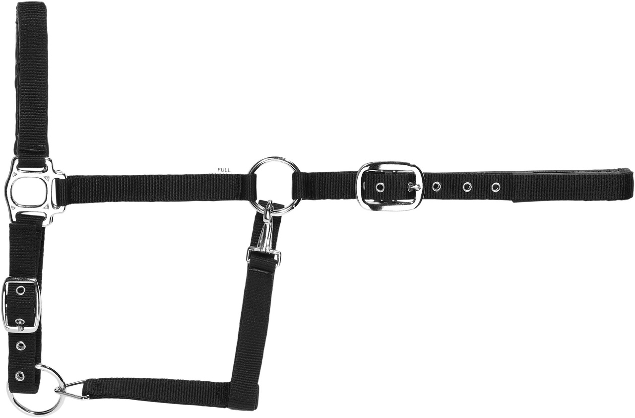 Usg Halfter Schwarz, Wb Usg Halfter Schwarz, Wb von USG