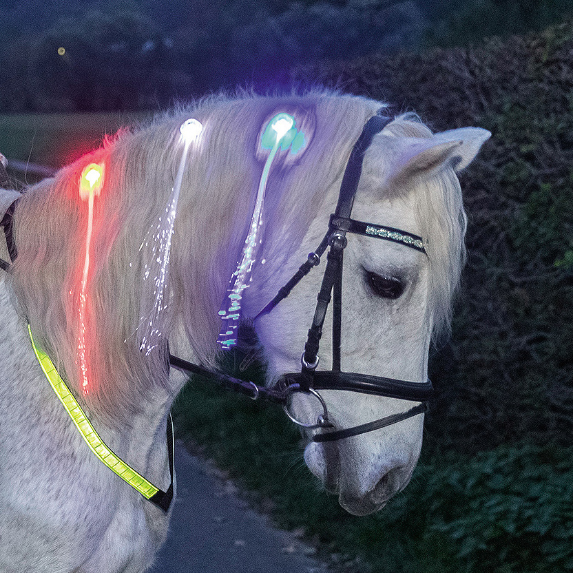 Usg Led-Haar Clips für die Mähne 3er Set, blau/rot/weiß Usg Led-Haar Clips für die Mähne 3er Set, blau/rot/weiß von USG