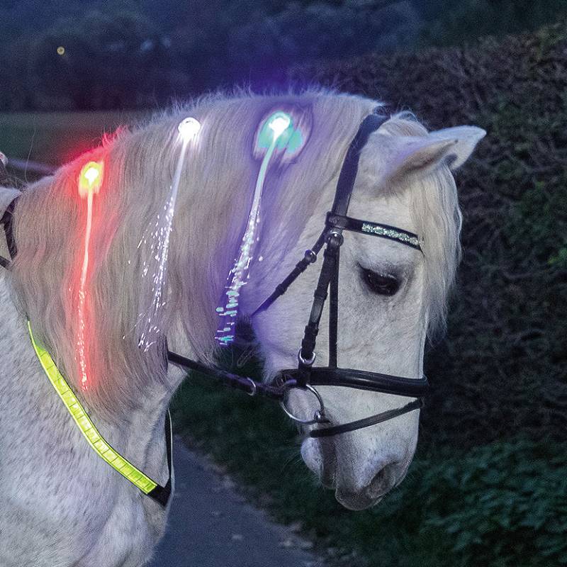 Usg Led-Haar Clips für die Mähne 3er Set, blau/rot/weiß Usg Led-Haar Clips für die Mähne 3er Set, blau/rot/weiß von USG