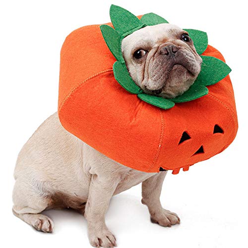 USJF Halloweenhalsband für Hunde, süßes Kürbis-Halsband für kleine und mittelgroße Hunde (groß) von USJF