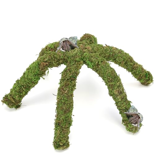 USMOLA 30,5 cm Einsiedlerkrabben-Kletterspielzeug für Tank, künstliches Moos, Einsiedlerkrebs-Lebensraum, Haustierschneckenkletterspielzeug, ideales Schnecken-Terrarium-Zubehör (natürliches Grün, 30,5 von USMOLA