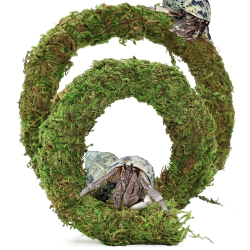 USMOLA Biegbares Einsiedlerkrabben-Kletterspielzeug, verstellbare künstliche Moosrebe für Haustierschnecken, Hermet-Krabben-Lebensraum, Verstecke, Tank-Terrarium-Zubehör (Naturgrün, 50,8 cm) von USMOLA