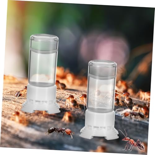UTHCLO 2 Stück Ameisen Wasserspender Ant Nest Feeder Trinkstelle Ameisentränke Futterautomat für Ameisenfarm Einfache Installation Störung Ameisenvolks UTHCLO 2 Stück Ameisen Wasserspender Ant Nest Feeder Trinkstelle Ameisentränke Futterautomat für Ameisenfarm Einfache Installation Störung Ameisenvolks von UTHCLO