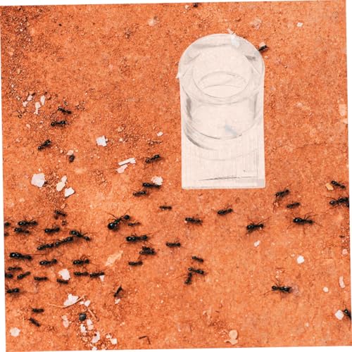 UTHCLO 2 Stück Ant wasserspender Acryl Transparent Langlebig Einfacher Reinigung Pet Bowl für Ameisen Bartagamen Schildkröten Geeignet Klare Sicht Wasserstand für Reptilien und von UTHCLO