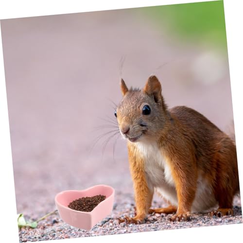 UTHCLO 2 Stück Keramik Hamster Futternapf Stabile Anti Umkippen Schale für Zwerghamster und Kleintiere Langlebig und Leicht zu Reinigen Futterbehältnis für Hamsterfutter und Leckerlis von UTHCLO