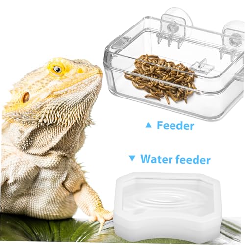 UTHCLO 2 Stück Reptilien Futterschale mit Starkem Saugnapf Ausbruchsicheres Futter Wassernapf für Eidechsen Bartagamen Chamäleons Geeignet für Glas Terrarien Transparente Futterschalen von UTHCLO