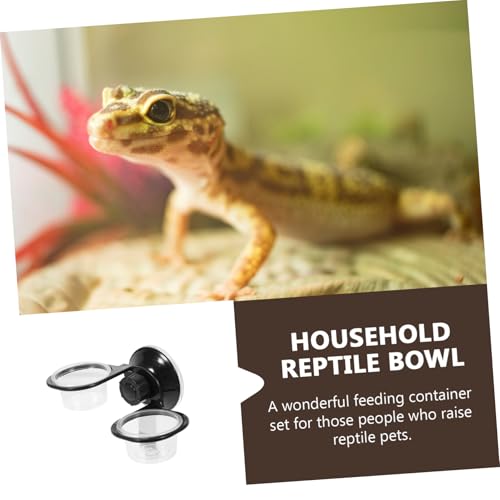 UTHCLO 2 Stück Teiliges Reptilienhängendes Futter Wassernapf Kunststoff Multifunktionale Futterschale für Echsen Schildkröten Geckos und Schlangen Leicht zu Reinigen Praktisches von UTHCLO
