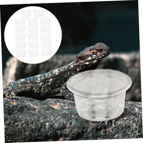UTHCLO 20 Stück Teiliges Transparentes Reptilienfutterschalen Kompakte Wassernäpfe mit Tiefem Design für Geckos Eidechsen Spinnen und Kleine Terrarientiere Vielseitig für Futter und von UTHCLO