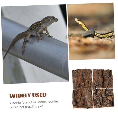 UTHCLO 4 Stück Teiliges Reptilien Terrarium Baumrinde Kletterplattform und Versteck Robustes Habitat Zubehör für Echsen und Kleine Haustiere Dekoratives und Pflegeleichtes Aquarium UTHCLO 4 Stück Teiliges Reptilien Terrarium Baumrinde Kletterplattform und Versteck Robustes Habitat Zubehör für Echsen und Kleine Haustiere Dekoratives und Pflegeleichtes Aquarium von UTHCLO