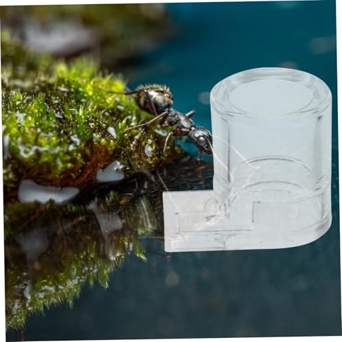 UTHCLO Ameisen Wasserspender Kleiner Sichtbarer Wasserbehälter Futterspender für Ameisenfarm Insekten Terrarium Zubehör Langlebig Leicht zu Reinigen Langlebig von UTHCLO