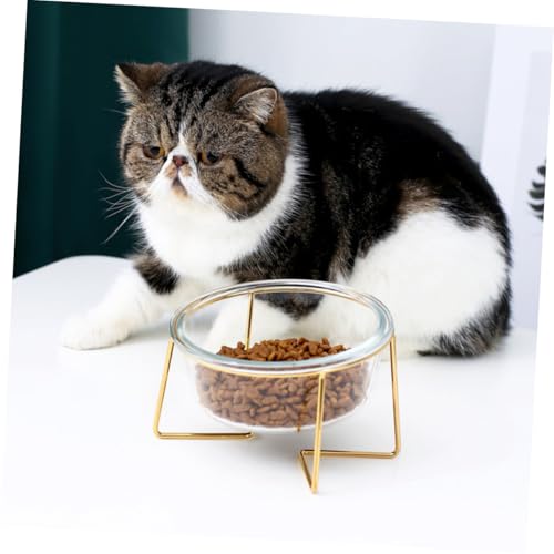 UTHCLO Erhöhter Glasschüssel Napf mit Geneigtem Design Fassungsvermögen Langlebiges Glas mit Metallgestell als Futternapf für Katzen und Kleine Hunde Einfacher Reinigungsschutz für von UTHCLO