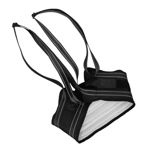 UTHCLO Hundetragehilfe mit Griff Beinstütze und Ergonomischem Oxford Material Stabiler Sitz für Gelähmte und Verletzte Hunde Unterstützung bei für Treppen und Rehabilitation UTHCLO Hundetragehilfe mit Griff Beinstütze und Ergonomischem Oxford Material Stabiler Sitz für Gelähmte und Verletzte Hunde Unterstützung bei für Treppen und Rehabilitation von UTHCLO