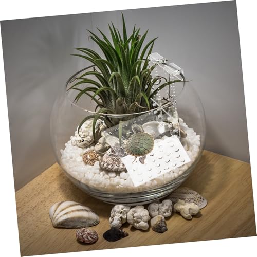 UTHCLO Klares Schildkröten Badeplattform Terrarium Reptilien Sonnenplatz Aquarium Dekoration Langlebig Verschleißfest Geeignet für Wasserschildkröten Gehege Zubehör von UTHCLO