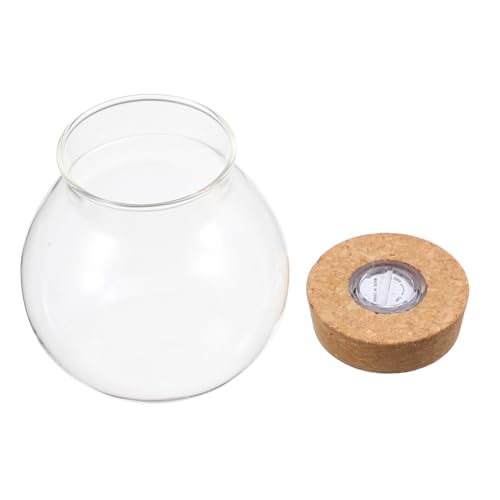 UTHCLO LED Glasflasche Borosilikat Mikrolandschaft mit LED Weißlicht Beleuchtung Zylindrisches Terrarium DIY Nachhaltiger Flaschengarten für Dekoration und Pflanzen Beobachtung von UTHCLO