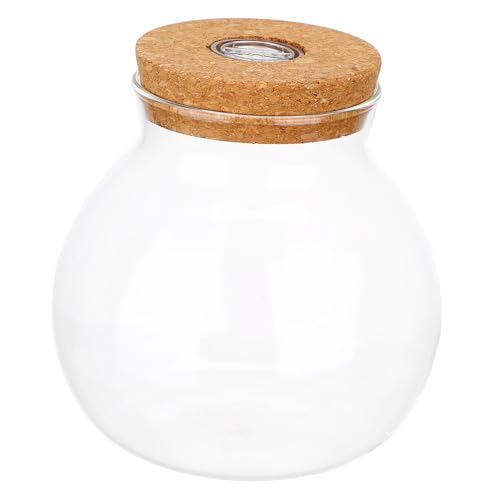 UTHCLO LED Glasvase mit LED Licht Transparente Ökologische Flasche für Fischbecken Landschaft DIY Mikrolandschaft Hydroponische Pflanzdekoration Glatte Oberfläche Vielseitig Einsetzbar von UTHCLO
