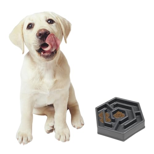 UTHCLO Langsamfressnapf für Katze und Hund Kreative Blütenform rutschfest mit Anti rutsch Pads Strapazierfähiges Harzmaterial Flacher Napf für Kleine Haustiere Graue Futterschüssel zur von UTHCLO