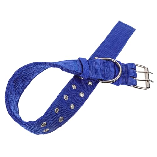 UTHCLO Leichtes Haustier Halsband aus Baumwollfaser Modisches Sicheres Halskollier für Hunde Verstellbar Bequemes Design für Täglichen Gebrauch Geeignet für Hundegrößen Blau XL UTHCLO Leichtes Haustier Halsband aus Baumwollfaser Modisches Sicheres Halskollier für Hunde Verstellbar Bequemes Design für Täglichen Gebrauch Geeignet für Hundegrößen Blau XL von UTHCLO