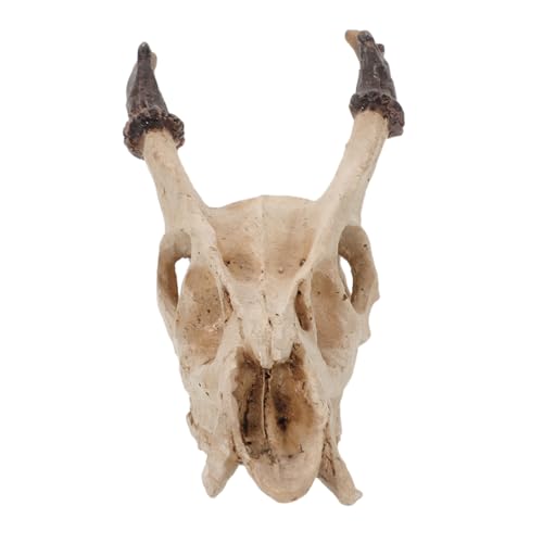 UTHCLO Ornamente Für Die Von Haustieren Dekoration Zubehör Für Bartagamen Schlangenhabitat Totenkopf Schlangenhabitat Versteck Reptilienzubehör Totenkopf von UTHCLO