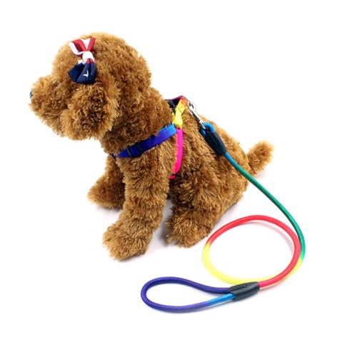 UTHCLO Regenbogenfarbene Hundeleine und Verstellbares Nylon Geschirr für Kleine Hunde Langlebige Hundeleine Komfortables Brustgeschirr Modisch und für Welpen Spaziergänge UTHCLO Regenbogenfarbene Hundeleine und Verstellbares Nylon Geschirr für Kleine Hunde Langlebige Hundeleine Komfortables Brustgeschirr Modisch und für Welpen Spaziergänge von UTHCLO