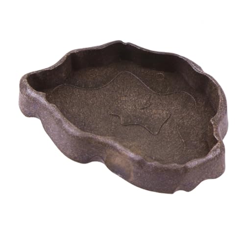 UTHCLO Reptilien Napf aus Resin Kompakte Futterschale und Wassernapf für Schildkröten Eidechsen und Kleine Reptilien Praktische Futter und Wasserschale in Kaffee S UTHCLO Reptilien Napf aus Resin Kompakte Futterschale und Wassernapf für Schildkröten Eidechsen und Kleine Reptilien Praktische Futter und Wasserschale in Kaffee S von UTHCLO