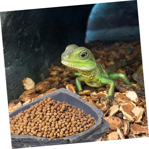 UTHCLO Robuste Reptilien Futterschale aus Harz in Steinoptik Wasserfester Wassernapf und Futterteller für Schildkröten Eidechsen Geckos und Kleine Kriechtier Haustiere Langlebig und UTHCLO Robuste Reptilien Futterschale aus Harz in Steinoptik Wasserfester Wassernapf und Futterteller für Schildkröten Eidechsen Geckos und Kleine Kriechtier Haustiere Langlebig und von UTHCLO