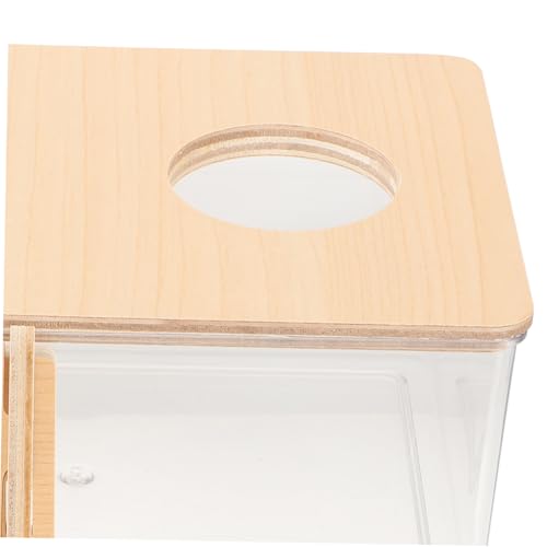 UTHCLO Transparente Hamster Sandbadewanne aus Acryl mit Holzleiter Wiederverwendbarer Sandbad Toilettenbehälter für Gerbils und Kleine Nagetiere Hygienisch Leicht zu Reinigen Mittelgroß UTHCLO Transparente Hamster Sandbadewanne aus Acryl mit Holzleiter Wiederverwendbarer Sandbad Toilettenbehälter für Gerbils und Kleine Nagetiere Hygienisch Leicht zu Reinigen Mittelgroß von UTHCLO