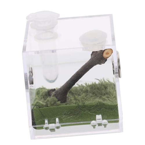 UTHCLO Transparente Spinnen Aufzuchtbox aus Acryl mit Belüftung Stabiles Terrarium für Taranteln Reptilien und Insekten Leicht Kompakt Sichtbares Habitat für Kleine Tiere UTHCLO Transparente Spinnen Aufzuchtbox aus Acryl mit Belüftung Stabiles Terrarium für Taranteln Reptilien und Insekten Leicht Kompakt Sichtbares Habitat für Kleine Tiere von UTHCLO