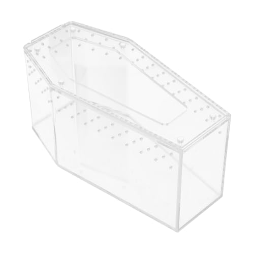UTHCLO Transparente Terrarium Box Stabile Reptilien Aufzuchtbox mit Fluchtgeschütztem Deckel Vielseitig für Spinnen Echsen Schildkröten Klare Sicht für Beobachtung UTHCLO Transparente Terrarium Box Stabile Reptilien Aufzuchtbox mit Fluchtgeschütztem Deckel Vielseitig für Spinnen Echsen Schildkröten Klare Sicht für Beobachtung von UTHCLO