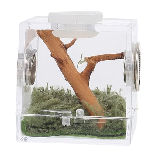 UTHCLO Transparente Zuchtbox für Reptilien und Spinnen aus Robustem Acryl Atmungsaktives Terrarium mit Belüftung Mittlere Praktisches Gehege für Springspinnen und Andere Kriechtiere UTHCLO Transparente Zuchtbox für Reptilien und Spinnen aus Robustem Acryl Atmungsaktives Terrarium mit Belüftung Mittlere Praktisches Gehege für Springspinnen und Andere Kriechtiere von UTHCLO