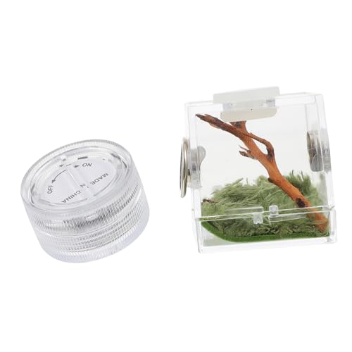 UTHCLO Transparentes Spider Habitat Terrarium mit Beleuchtung Kleine Aufbewahrungsbox für Springspinnen Flip futteröffnung Leicht und Tragbar für Insektenzucht und Transport UTHCLO Transparentes Spider Habitat Terrarium mit Beleuchtung Kleine Aufbewahrungsbox für Springspinnen Flip futteröffnung Leicht und Tragbar für Insektenzucht und Transport von UTHCLO
