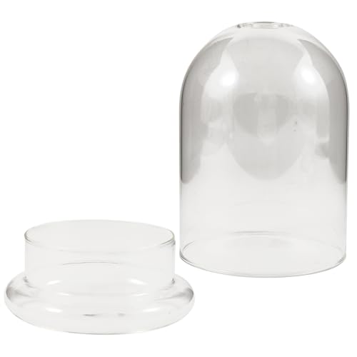 UTHCLO Transparentes Terrarium mit Großem Öffnung für DIY Mikrolandschaften Klarer Display Cloche Pflanzflasche für Sukkulenten Moos und Blumen Dekoratives Ökosystem für Zuhause und Büro UTHCLO Transparentes Terrarium mit Großem Öffnung für DIY Mikrolandschaften Klarer Display Cloche Pflanzflasche für Sukkulenten Moos und Blumen Dekoratives Ökosystem für Zuhause und Büro von UTHCLO