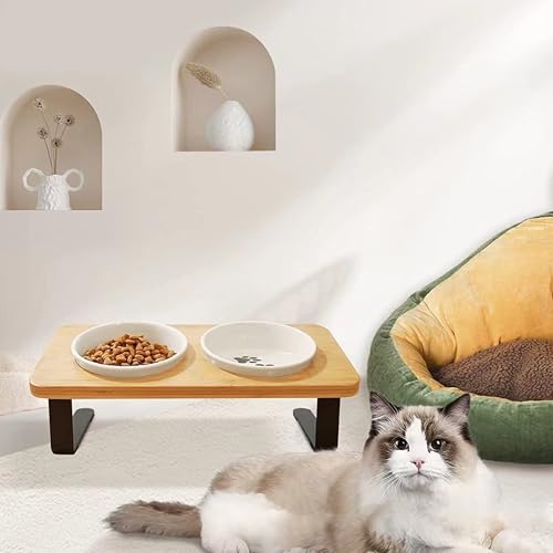 UUE Futternapf Katze, Katzennapf Erhöht Fressnapf Katze mit 10° Neigung Design, Katzennäpfe 2-Set, Katzenfutternapf für Futter und Wasser, perfekt für Katzen, Welpen und kleine Hunde UUE Futternapf Katze, Katzennapf Erhöht Fressnapf Katze mit 10° Neigung Design, Katzennäpfe 2-Set, Katzenfutternapf für Futter und Wasser, perfekt für Katzen, Welpen und kleine Hunde von UUE