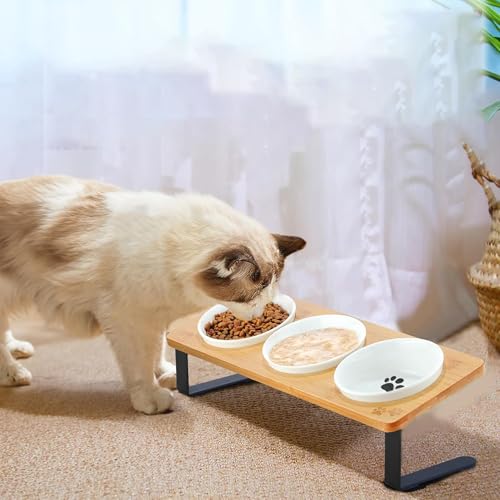 UUE Futternapf Katze, Katzennapf Erhöht Fressnapf Katze mit 10° Neigung Design, Katzennäpfe 3-Set, Katzenfutternapf für Futter und Wasser, perfekt für Katzen, Welpen und kleine Hunde UUE Futternapf Katze, Katzennapf Erhöht Fressnapf Katze mit 10° Neigung Design, Katzennäpfe 3-Set, Katzenfutternapf für Futter und Wasser, perfekt für Katzen, Welpen und kleine Hunde von UUE